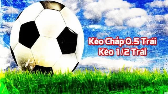 Tổng quan về kèo 1/2 (hay kèo chấp 0.5)