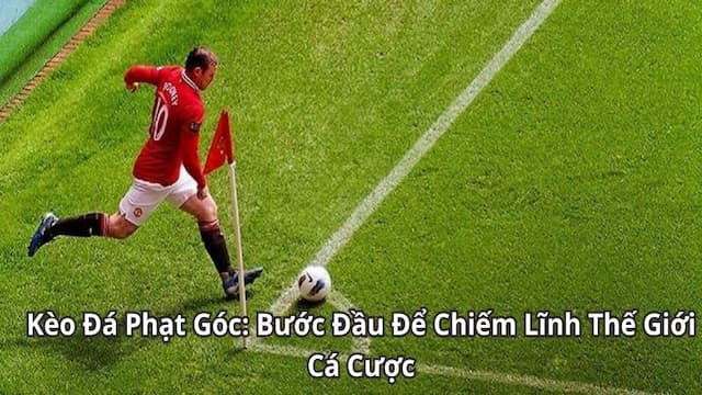Tổng quan về kèo phạt góc trong cá cược bóng đá