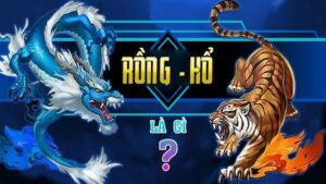 Tổng quan về trò chơi rồng hổ