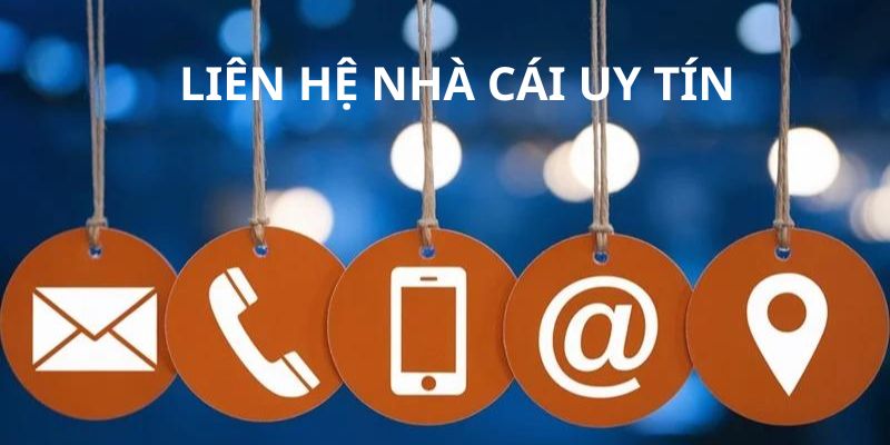 Vì sao liên hệ nhà cái uy tín lại quan trọng